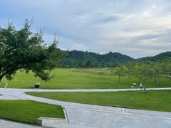 -风云岭森林公园