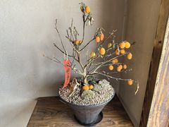 -院子餐厅·大锅菜·老杭帮(桥西直街店)