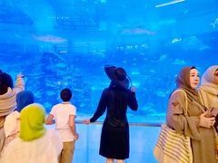 -迪拜水族馆及水下动物园