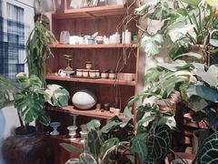 -自由生长植物工作室(深港花卉中心店)
