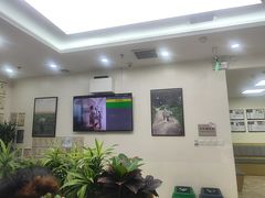 -美联众合动物医院·24h转诊中心