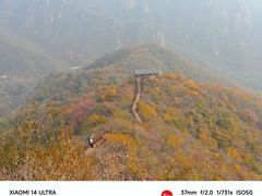 -大岭沟猕猴桃谷风景区