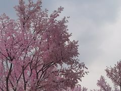 -首开·龙湖成都西宸天街
