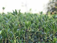 -仙海旅游度假区