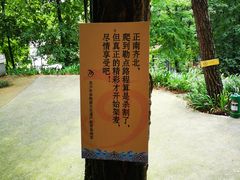 -壹华里·市集