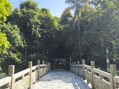 -广西壮族自治区药用植物园
