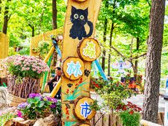 -沂蒙山旅游区云蒙景区(蒙山国家森林公园)