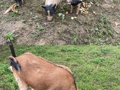 -紫颐香薰山谷景区