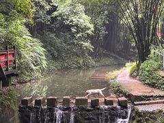 -凤栖山