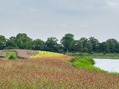 -径山花海