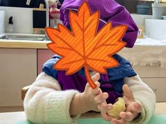 -豆初托育园 Baby Bean Day care Center