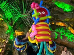 -芜湖新华联大白鲸海洋公园