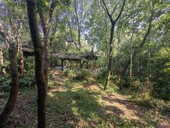 -上海佘山国家森林公园天马山园