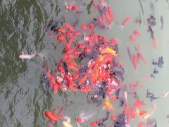 -泰安地下龙宫景区