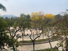 -天鹿湖森林公园