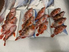 -魚當家