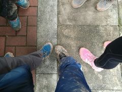 -金鸡山公园
