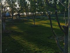 -汉长安城未央宫国家考古遗址公园