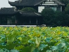 -高子水居