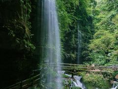 -碧峰峡风景区