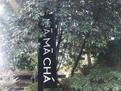 -MAMACHA妈妈茶(岳麓山店)