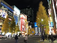 -Animate(秋叶原本馆)