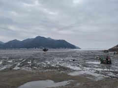 -北岐滩涂