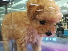 -乐宠宠物店(世纪金源店)