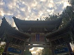 -迎泽公园