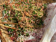 -半月镰胡姐脆皮萝卜饺子