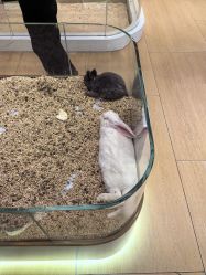 -小象动悟公园(龙湖亦庄天街店)