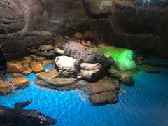 -多彩贵州城极地海洋世界