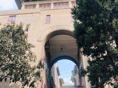 -武汉大学-樱园