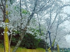 -苏宁钟山国际高尔夫酒店大堂酒廊
