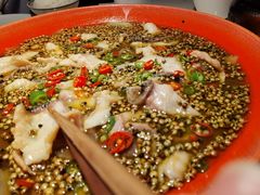 不忘初心水煮鱼-初蓉丨遇见新川菜(亲贤街荣耀店)