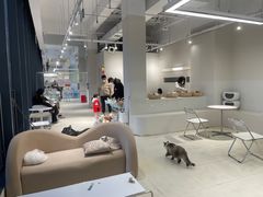 -怪兽屋·羊驼·猫咖·狗咖(俊华广场店)