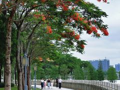 -顺峰山公园