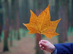 -山王坪喀斯特国家生态公园