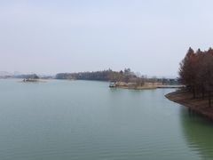 -贡湖湾湿地公园