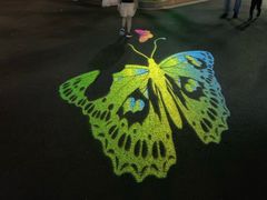 -锦江乐园舞狸花花游园会(夜场专享)