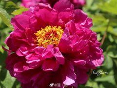 -青岛国学公园