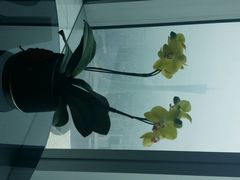 android_upload_pic-广州四季酒店