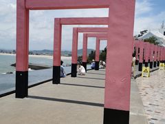 -漳州滨海火山岛自然生态风景区