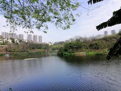 -重庆彩云湖湿地公园