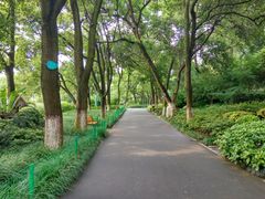 -沙市市中山公园