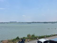 -八仔大富楼·河鲜(西江店)