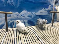 -成都浩海立方海洋公园