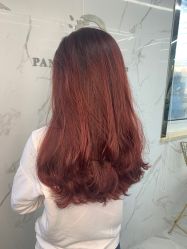 -潘多拉Hairsalon