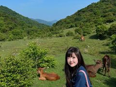 -大姆山草场