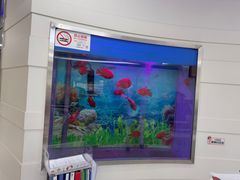 -雅悦齿科(顾村公园店)